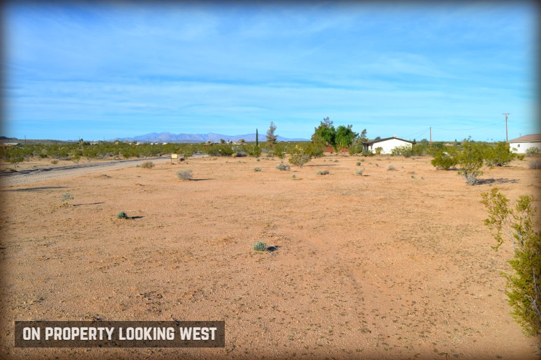 Shifting Sands Drive